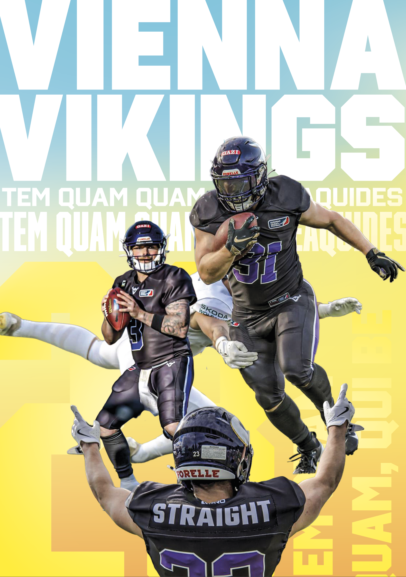 Vienna Vikings